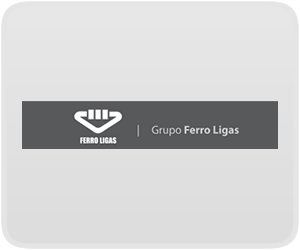 Grupo Ferro Ligas